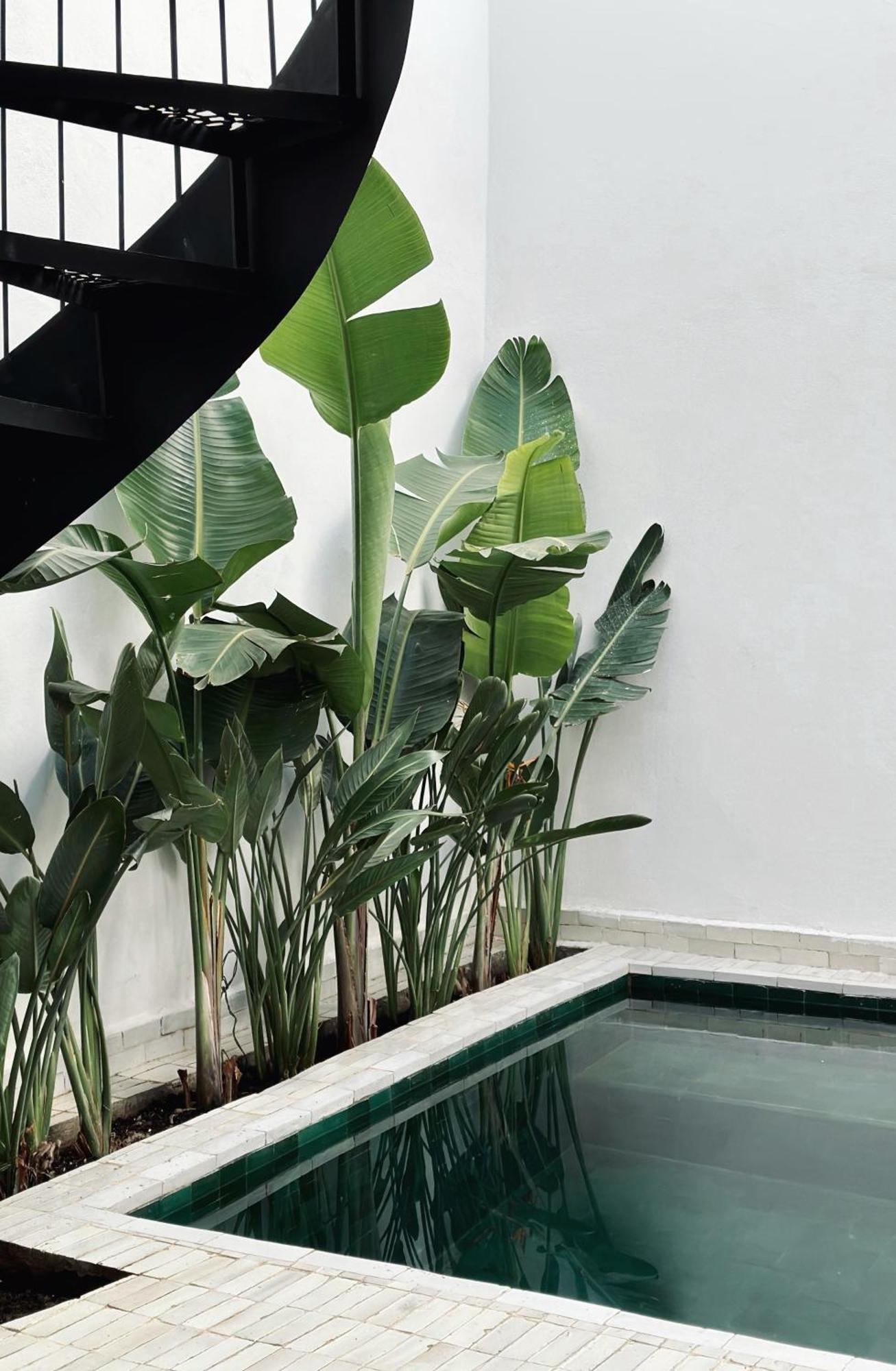 Вилла Riad De L'O / Serene Designer Oasis ~ Pool ~ Rooftop Марракеш Экстерьер фото